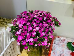 -丁先生蛋糕·品质鲜作(桐梓林店)