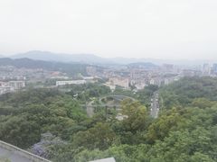 -福道
