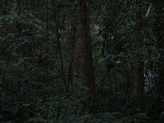 -桤木河湿地公园