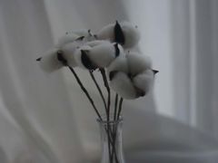 -HALF ORANGE 半个橙子