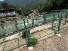 -牛鱼嘴原始生态风景区