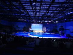 -华夏文旅海洋公园