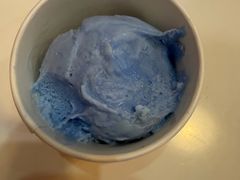 -iceason爱茜茜里·意大利健康冰淇淋(骑龙巷店)