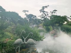 -罗红摄影艺术馆