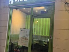 -油梨树AVOCADO TREE(顺义新国展店)