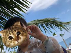 -珊瑚岛