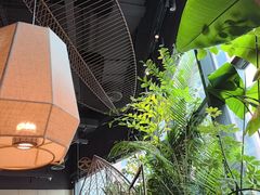 -大头椰·椰子鸡火锅(南宁万象城店)