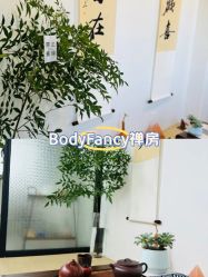 -Fancy梵汐·轻奢量肤定制