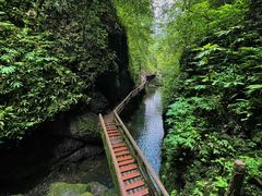 -青城山