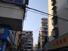 -东河市场