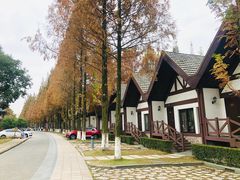 -太阳岛度假酒店
