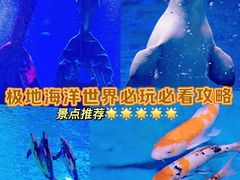 -石家庄极地海洋世界