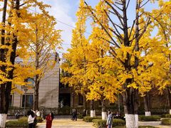 -百林公园-两江幸福广场