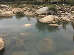 -四会奇石河风景区
