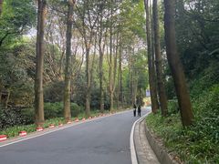 -广州市白云山风景名胜区