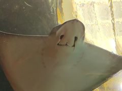 -乐从天佑城海洋馆