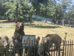 -秦皇岛野生动物园