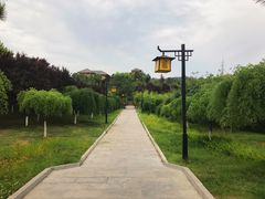 -函谷关历史文化旅游区