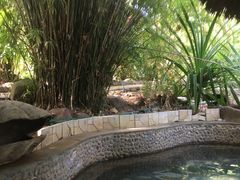 -三亚珠江南田温泉度假区