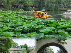 -承德避暑山庄景区