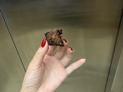 -都士牧人现烤牛肉干