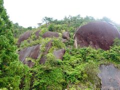 -玉苍山国家森林公园
