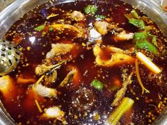 -肖肖酸萝卜鱼火锅(总店)