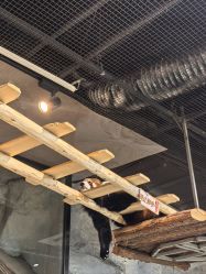 点击看大图 -Zoolung Zoolung动物主题公园(海信广场店)