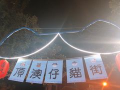 -猫咪博物馆(顶澳仔猫街店)