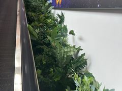 -利群海琴购物广场(商丘路店)