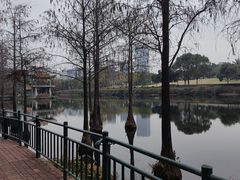 -深圳龙潭公园