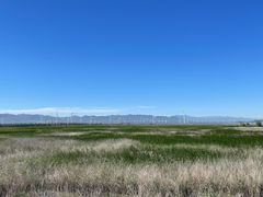 -野鸭湖国家湿地公园