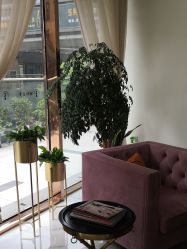 点击看大图 -骄阳兰多产后修复(徐东旗舰店)