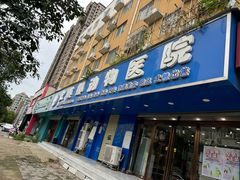 -安琪娜动物医院•健康管理•骨科•急重症诊疗中心