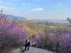 -天台山赤城山景区