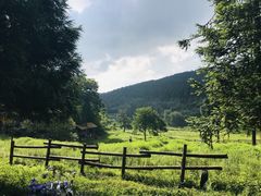 -武陵山森林公园