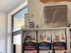 -纳吉亚猫专科动物医院·北北分院