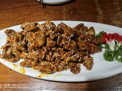 -前海沿·青岛菜(大拇指广场石老人店)