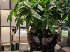 -菉雅苑·湛江菜(前海卓越INTOWN店)