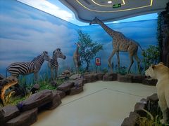 -西霞口神雕山野生动物世界