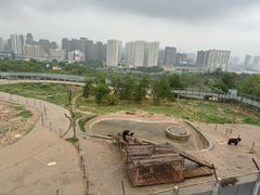 -青藏高原野生动物园