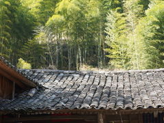 -黄檀硐景区