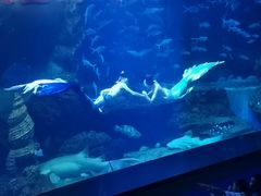 -多彩贵州城极地海洋世界