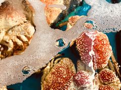 -海九澎湖海鲜餐厅