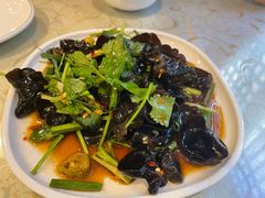 -圣厨牛腩(青春岛社区玉寿苑店)