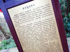 -梦姑塘文化公园
