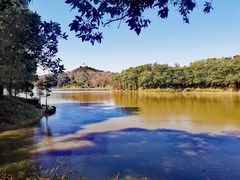 -红花湖景区
