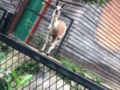 -无锡动物园·太湖欢乐园
