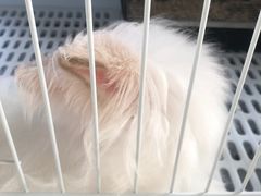 -小意思咖啡店(草桥店)