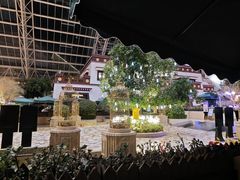 -拉萨圣地天堂洲际大饭店-自助餐厅